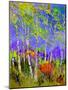 Birch Trees In Spring-Pol Ledent-Mounted Art Print