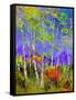 Birch Trees In Spring-Pol Ledent-Framed Stretched Canvas