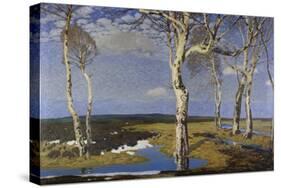 Birch Trees in Worpswede, 1908-Fritz Overbeck-Stretched Canvas