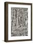 Birch Trees No.3-Alan Blaustein-Framed Photographic Print