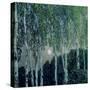 Birch Trees-Aleksandr Jakovlevic Golovin-Stretched Canvas