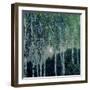 Birch Trees-Aleksandr Jakovlevic Golovin-Framed Giclee Print