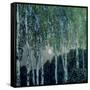 Birch Trees-Aleksandr Jakovlevic Golovin-Framed Stretched Canvas