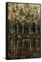 Birch Trees-Sydney Edmunds-Framed Stretched Canvas