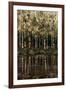 Birch Trees-Sydney Edmunds-Framed Giclee Print