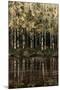 Birch Trees-Sydney Edmunds-Mounted Giclee Print