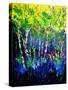 Birch Trees-Pol Ledent-Stretched Canvas