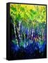 Birch Trees-Pol Ledent-Framed Stretched Canvas