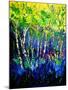 Birch Trees-Pol Ledent-Mounted Art Print