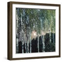 Birch Trees-Aleksandr Jakovlevic Golovin-Framed Giclee Print