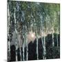 Birch Trees-Aleksandr Jakovlevic Golovin-Mounted Giclee Print