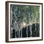 Birch Trees-Aleksandr Jakovlevic Golovin-Framed Giclee Print