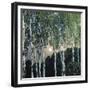 Birch Trees-Aleksandr Jakovlevic Golovin-Framed Giclee Print