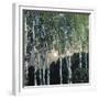 Birch Trees-Aleksandr Jakovlevic Golovin-Framed Giclee Print