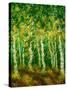 Birch Trees-Bonnie B. Cook-Stretched Canvas
