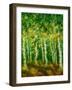 Birch Trees-Bonnie B. Cook-Framed Giclee Print