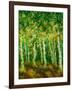 Birch Trees-Bonnie B. Cook-Framed Giclee Print