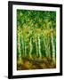 Birch Trees-Bonnie B. Cook-Framed Giclee Print