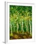 Birch Trees-Bonnie B. Cook-Framed Giclee Print