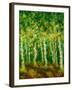 Birch Trees-Bonnie B. Cook-Framed Giclee Print