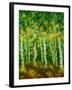 Birch Trees-Bonnie B. Cook-Framed Giclee Print