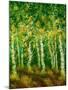 Birch Trees-Bonnie B. Cook-Mounted Giclee Print