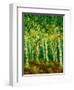 Birch Trees-Bonnie B. Cook-Framed Premium Giclee Print