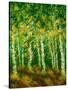 Birch Trees-Bonnie B. Cook-Stretched Canvas