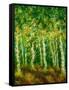 Birch Trees-Bonnie B. Cook-Framed Stretched Canvas