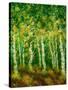 Birch Trees-Bonnie B. Cook-Stretched Canvas