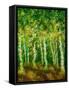 Birch Trees-Bonnie B. Cook-Framed Stretched Canvas