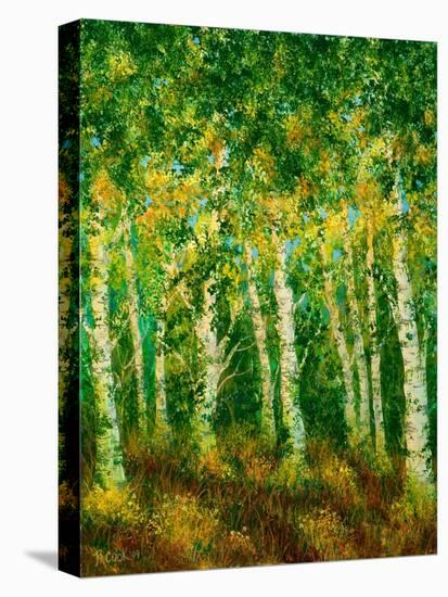 Birch Trees-Bonnie B. Cook-Stretched Canvas