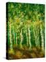 Birch Trees-Bonnie B. Cook-Stretched Canvas
