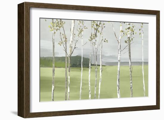 Birch Valley-Allison Pearce-Framed Art Print