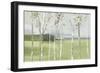 Birch Valley-Allison Pearce-Framed Art Print