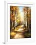 Birch Walk-Arcobaleno-Framed Art Print