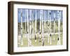 Birch Way-Midori Greyson-Framed Giclee Print