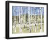 Birch Way-Midori Greyson-Framed Giclee Print