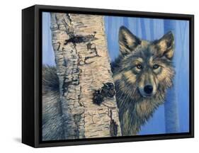 Birch Wolf-Bill Makinson-Framed Stretched Canvas