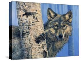 Birch Wolf-Bill Makinson-Stretched Canvas