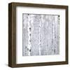 Birch Wonderland-Parker Greenfield-Framed Art Print