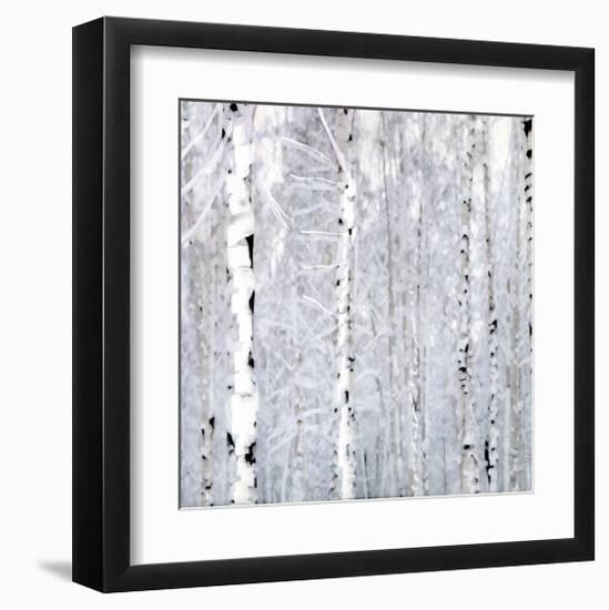 Birch Wonderland-Parker Greenfield-Framed Art Print