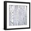 Birch Wonderland-Parker Greenfield-Framed Art Print