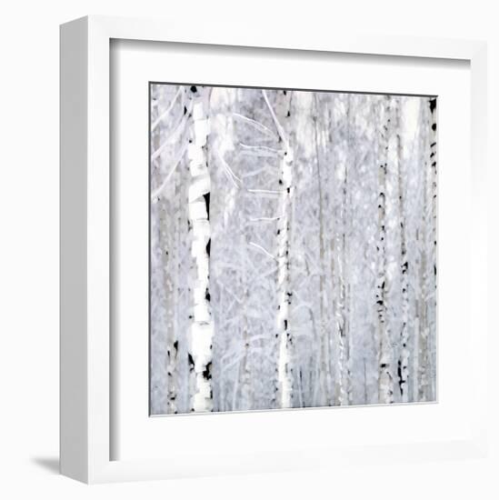 Birch Wonderland-Parker Greenfield-Framed Art Print