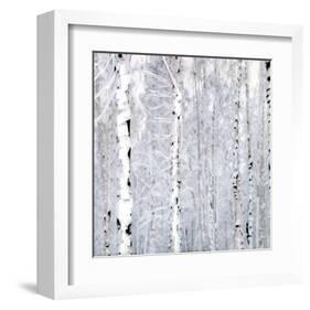 Birch Wonderland-Parker Greenfield-Framed Art Print