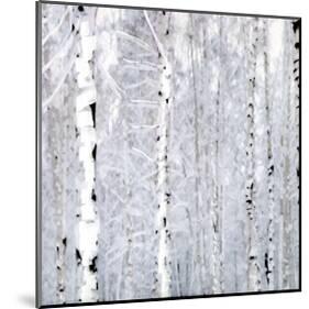 Birch Wonderland-Parker Greenfield-Mounted Art Print