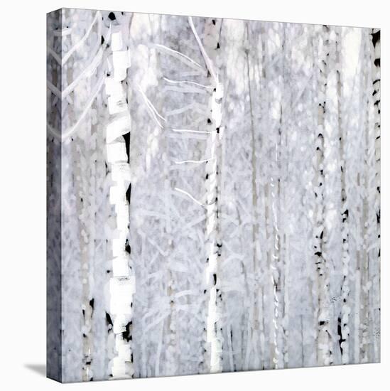 Birch Wonderland-Parker Greenfield-Stretched Canvas