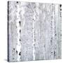 Birch Wonderland-Parker Greenfield-Stretched Canvas