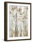 Birch Wood II-Eva Watts-Framed Art Print