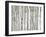 Birch Wood-PhotoINC-Framed Photographic Print